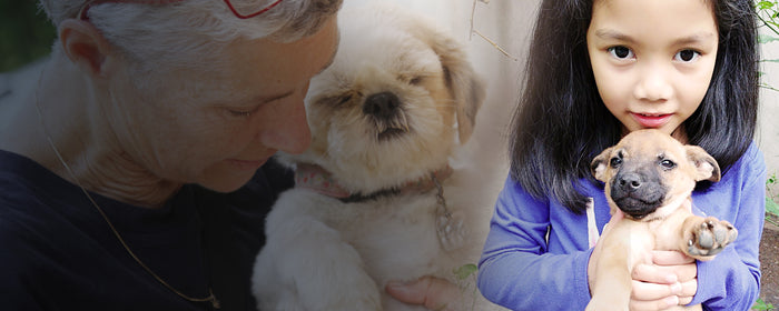 Compassion Shows