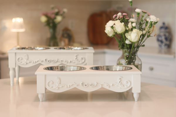 Scrollie Forever Elevated Pet Feeder